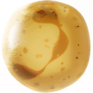 Neutrophil graphic